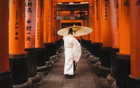 Japonia - Bramy torii w Fushimi Inari.jpg